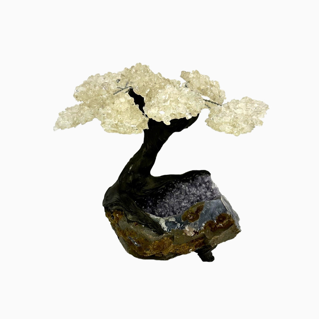 Amethyst Crystal Tree 2.6kg Warehouse