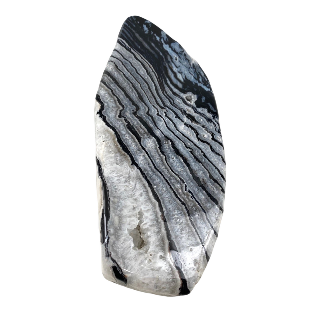 Zebra Jasper 2.32kg