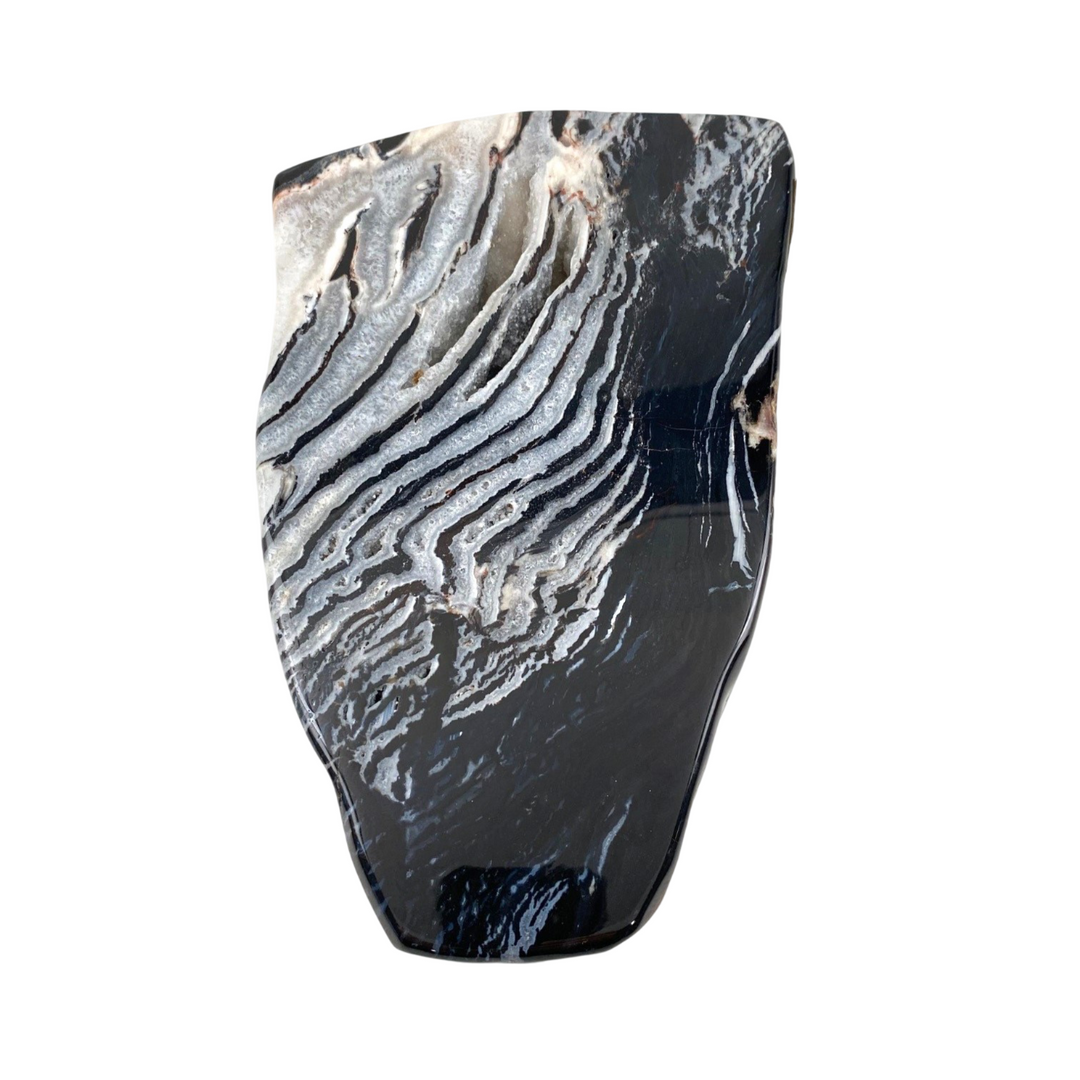 Zebra Jasper 2.31kg