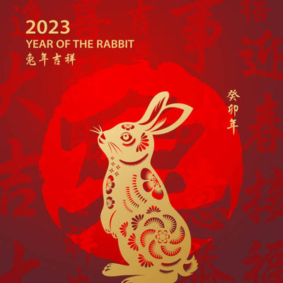 What to Expect in the Year of the Rabbit