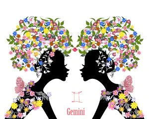 Gemini-The Wind Element