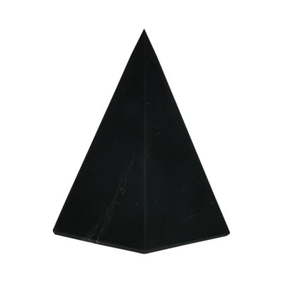 Shungite