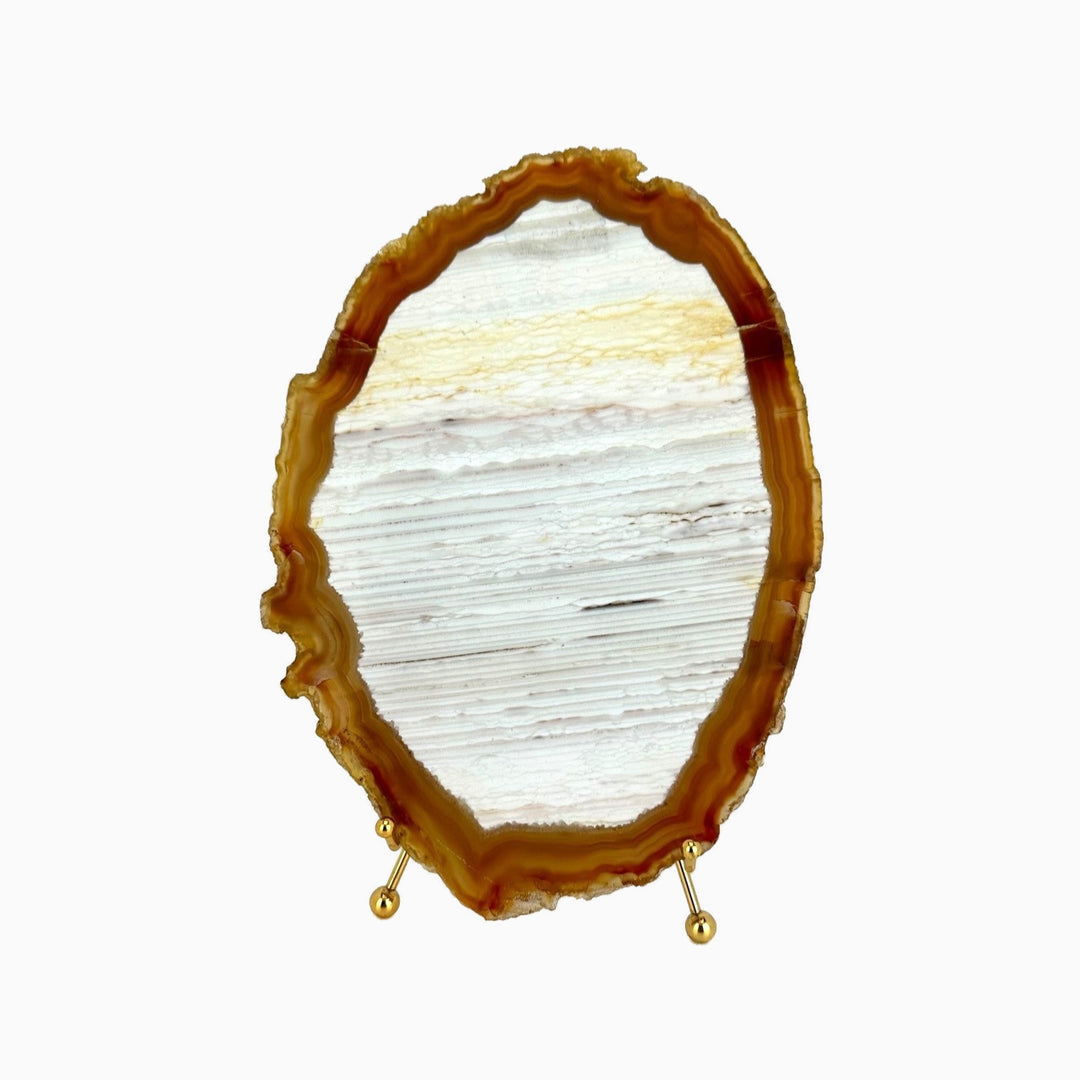 Agate Slice 565gr