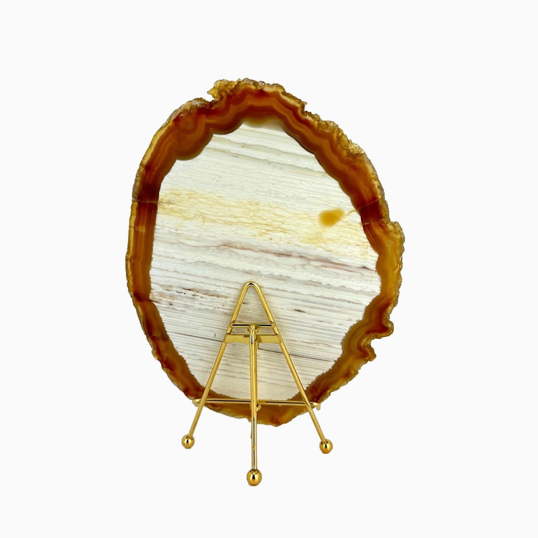 Agate Slice 565gr