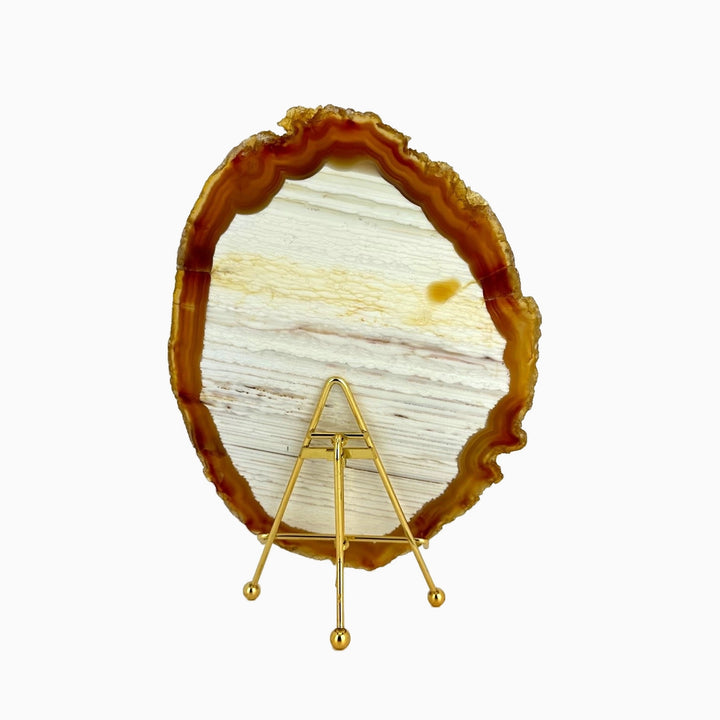 Agate Slice 565gr