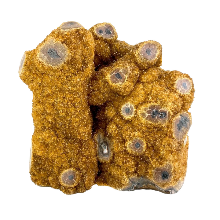 Citrine Eyes 12.6kg