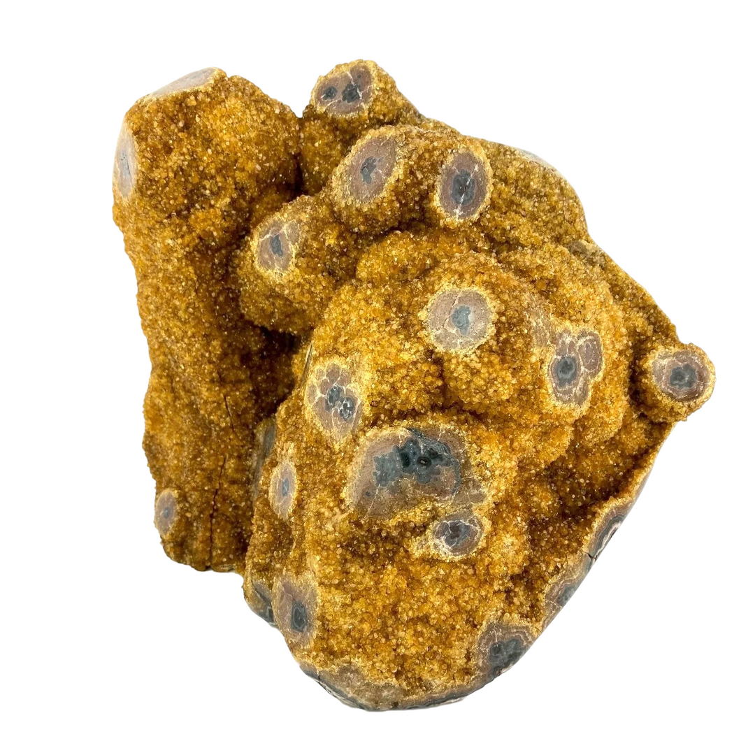 Citrine Eyes 12.6kg