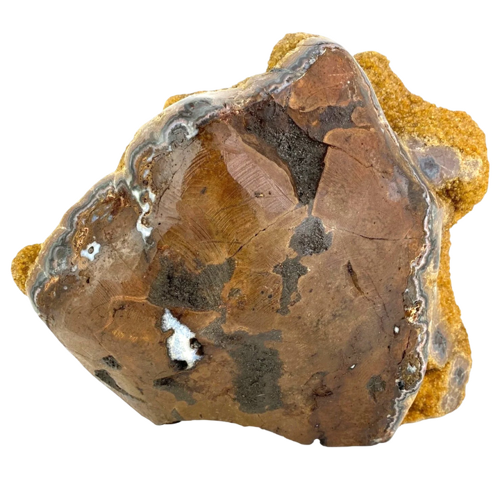 Citrine Eyes 12.6kg