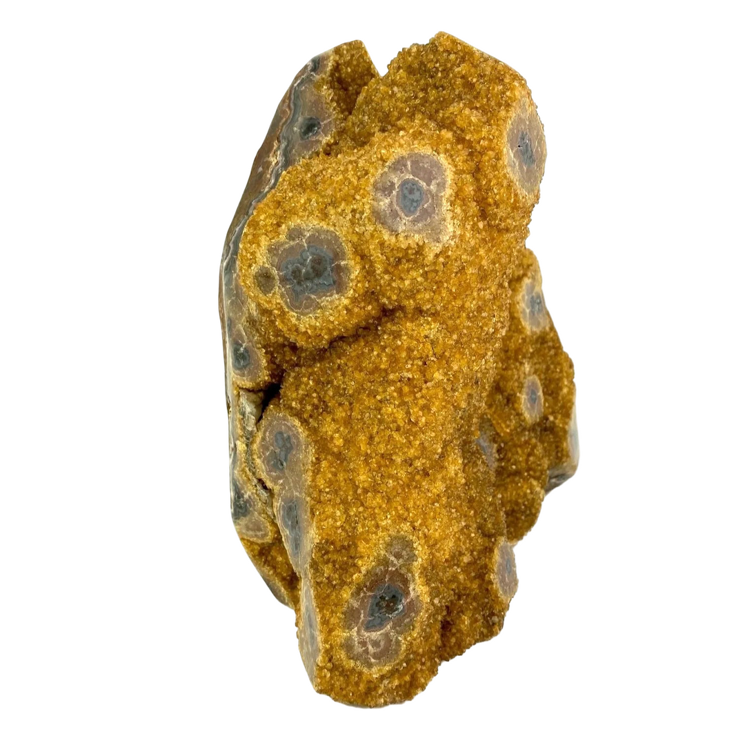 Citrine Eyes 12.6kg