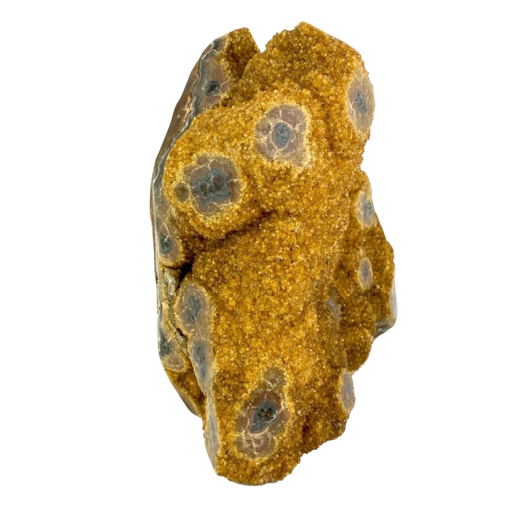 Citrine Eyes 12.6kg