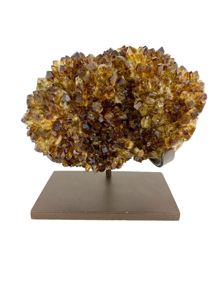 Cognac Citine Pineapple 6.6kg