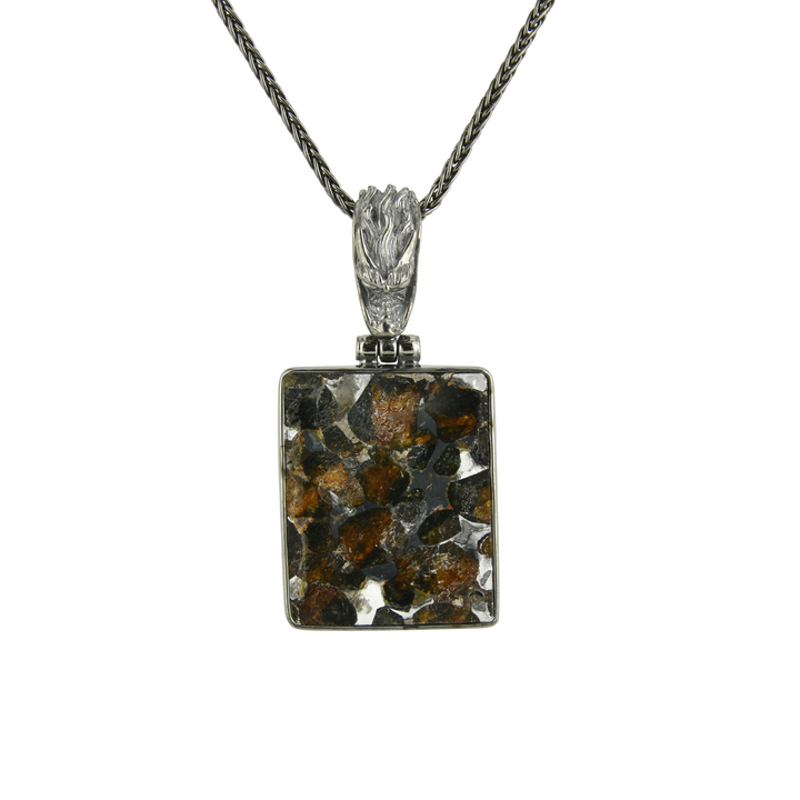 Sericho Pallasite Meteorite