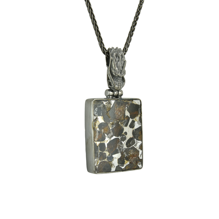 Sericho Pallasite Meteorite