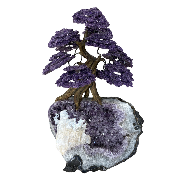 Amethyst Tree 16kg