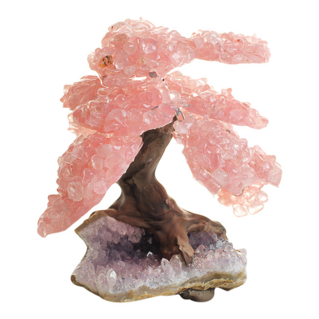 RQTree-_0204